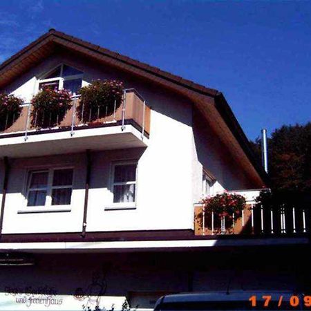 Ferienappartements Bruestle Freiburg im Breisgau Dış mekan fotoğraf